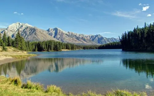 信息化新型绿色